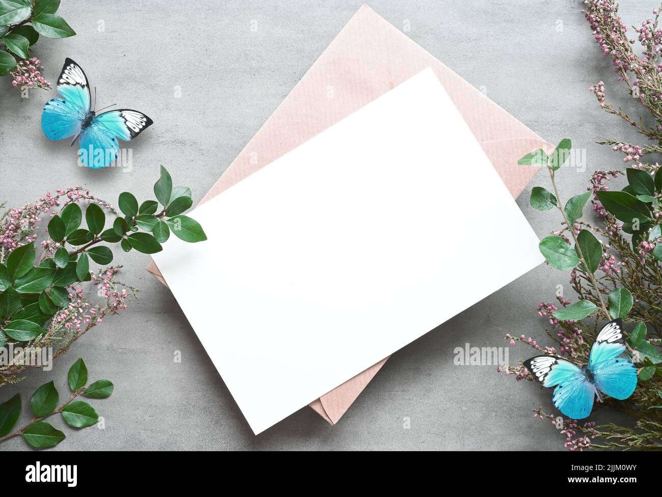 Carta mock up con piante e farfalla blu. Carta di invito con busta su sfondo bianco Foto Stock