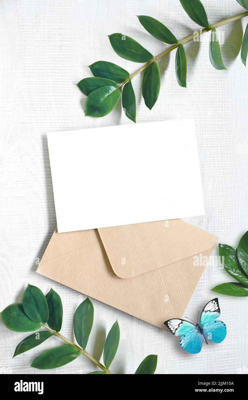 Carta mock up con piante e farfalla blu. Carta di invito con busta su sfondo bianco Foto Stock