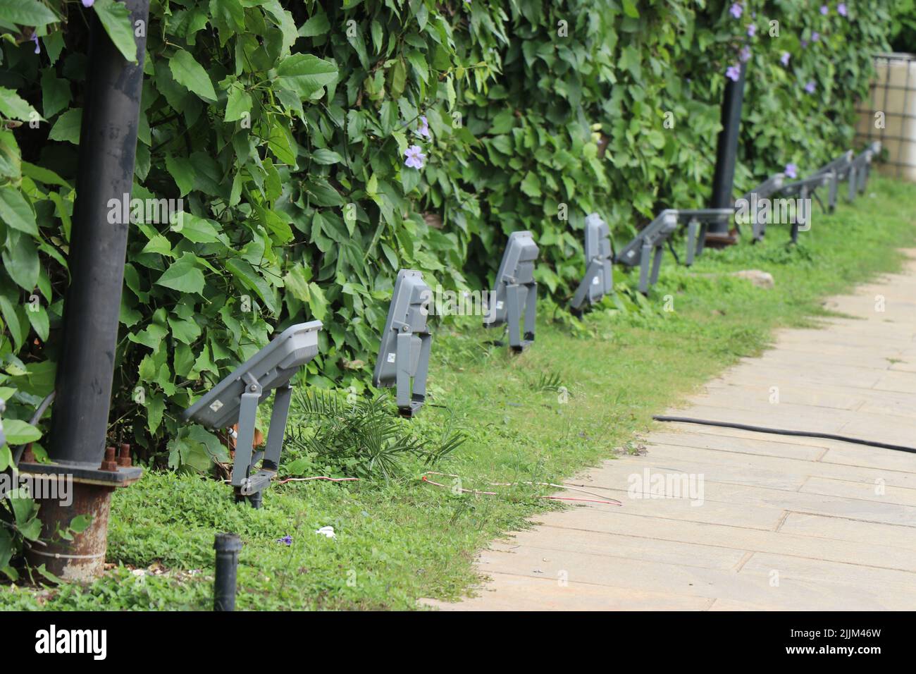Set di luci da giardino disposte in ordine sul lato della passerella del giardino Foto Stock