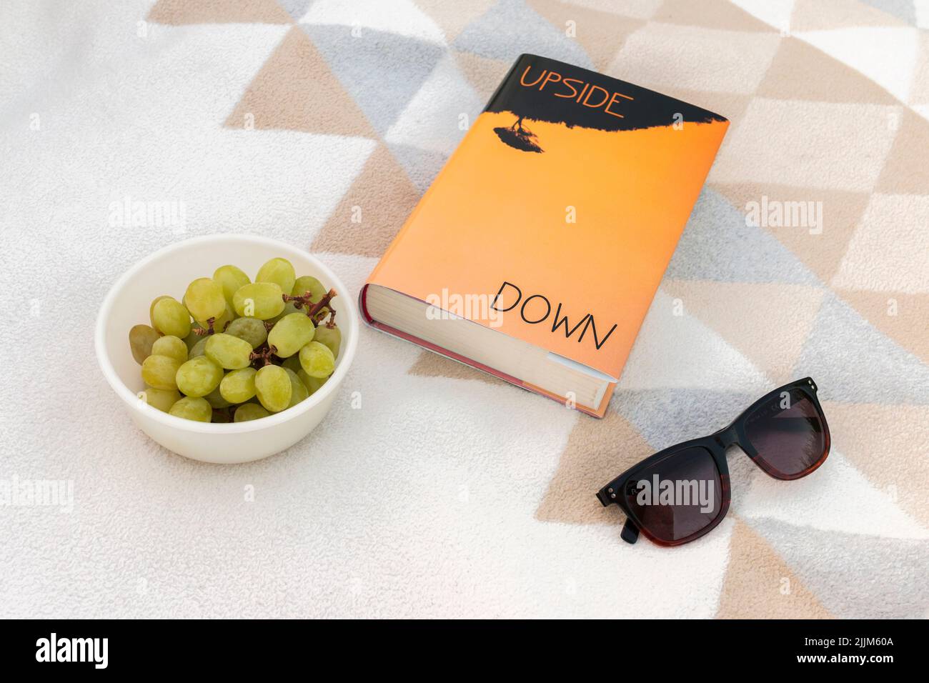 Un primo piano di un Picknick con un libro con giacca antipolvere, occhiali da sole e piatto con uva. Foto Stock