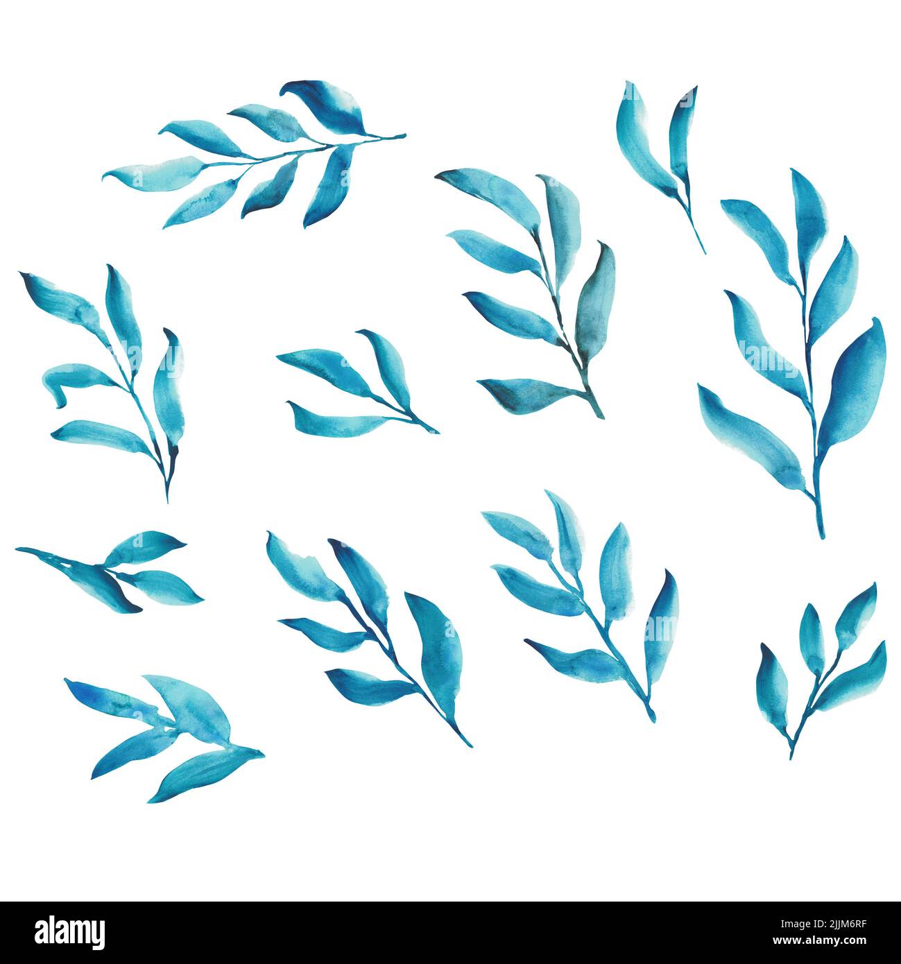 Set di acquerelli blu lascia isolati su sfondo bianco. Tecnica acquerello sciolto Foto Stock