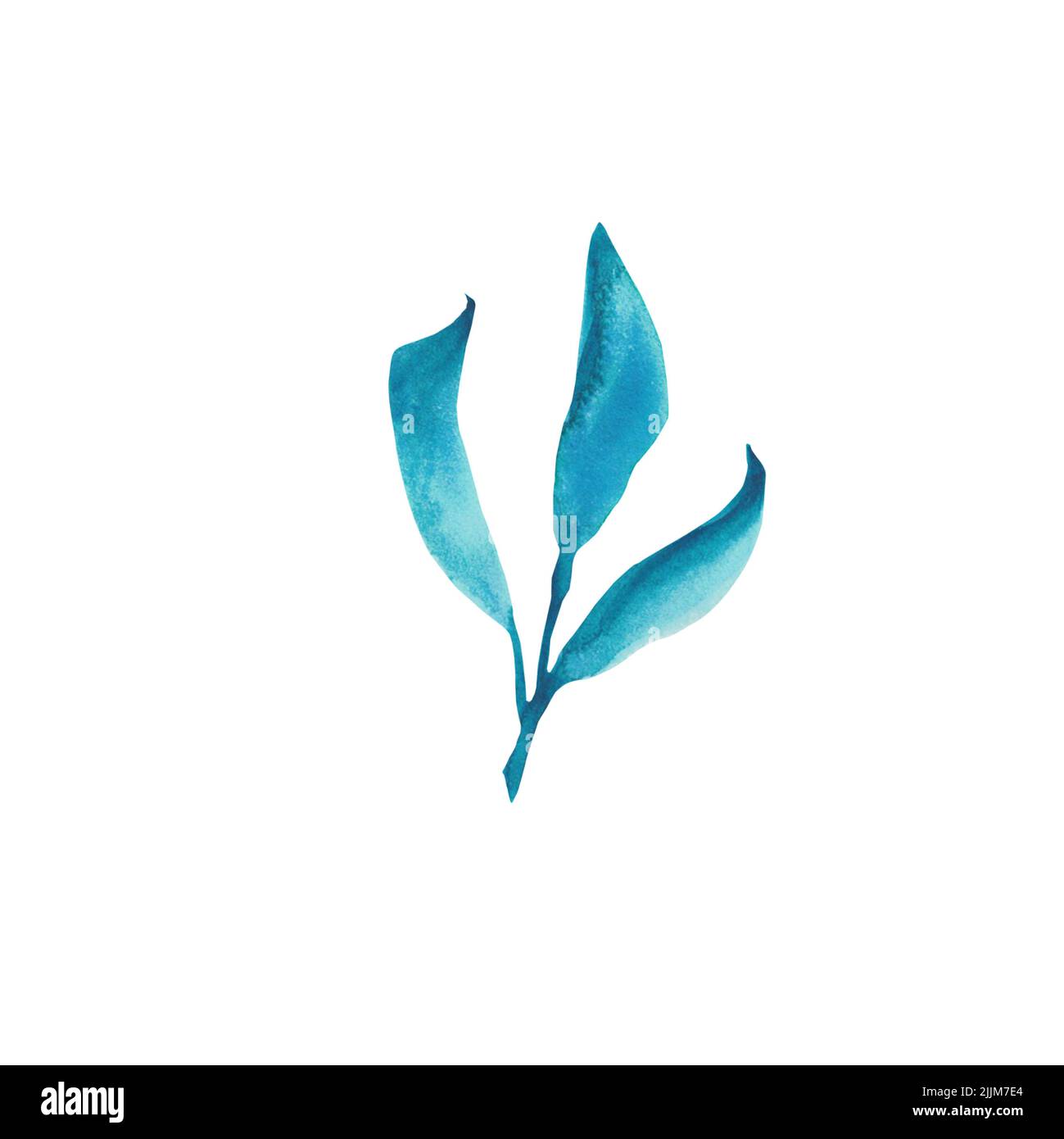 Foglia di acquerello blu isolata su sfondo bianco. Tecnica acquerello sciolto. Foto Stock
