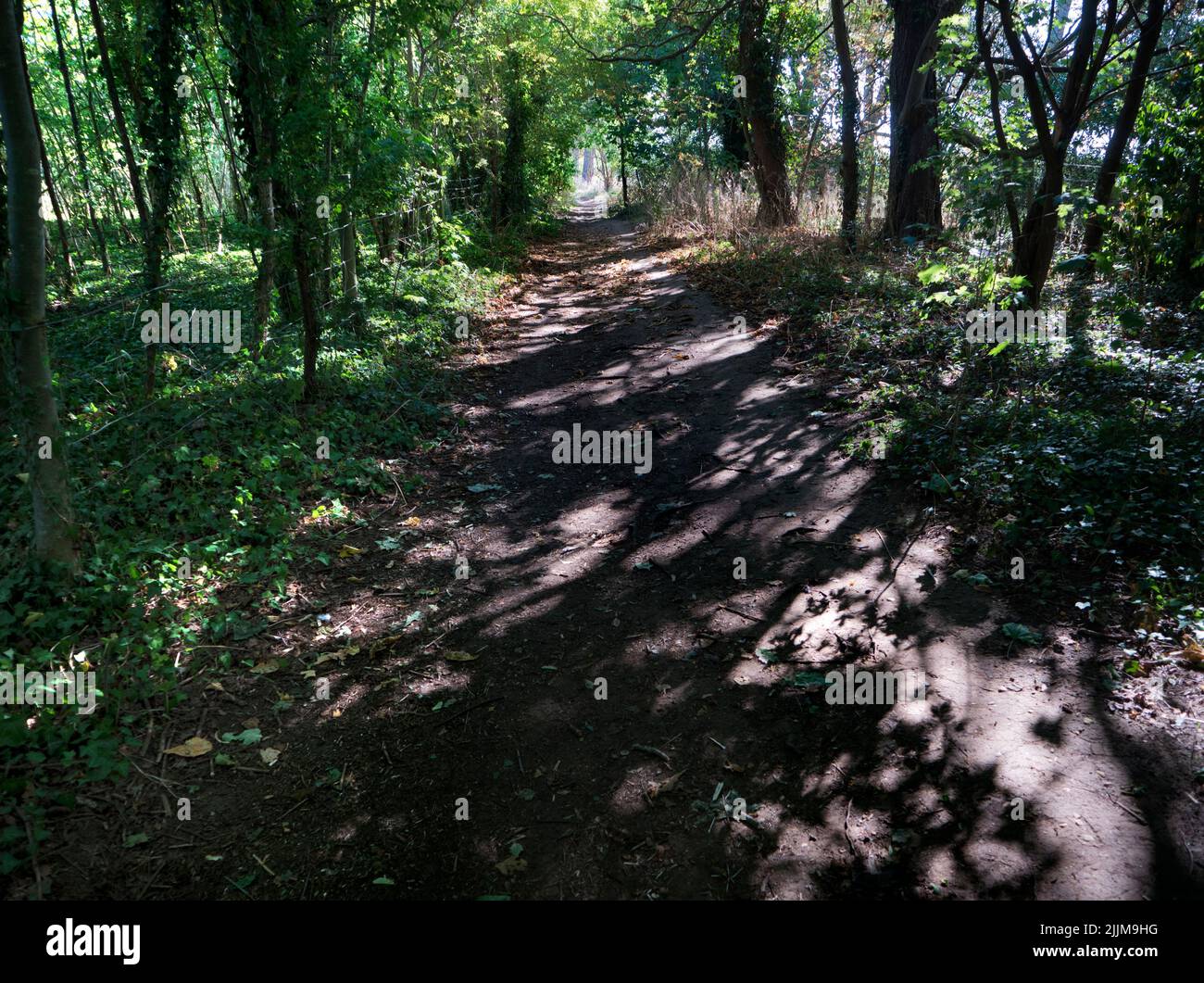 Questo delizioso sentiero conduce dal Lower Radley Village al Tamigi mentre si percorre la campagna dell'Oxfordshire. Foto Stock