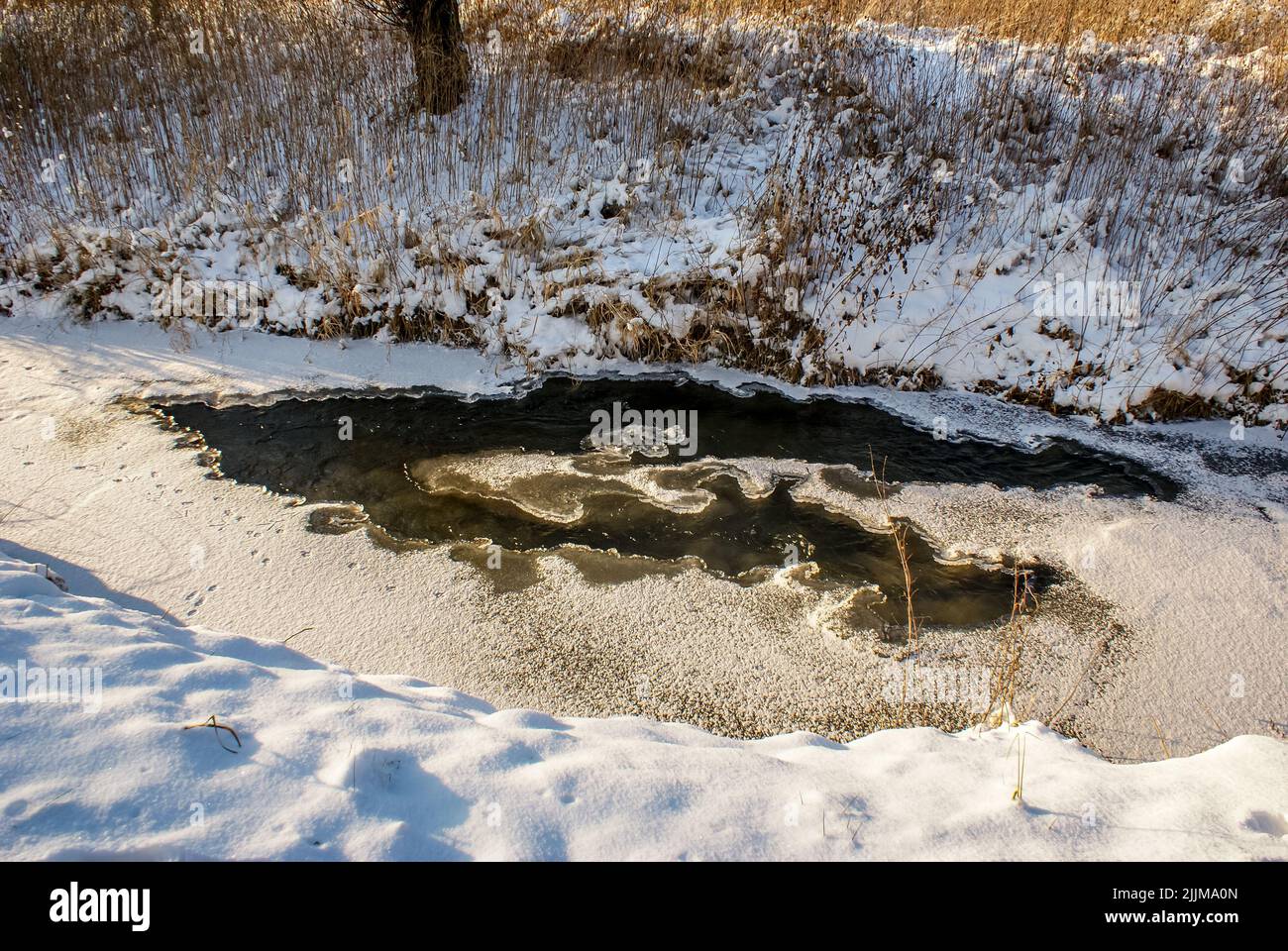 Una vista panoramica di un fiume ghiacciato in una foresta in inverno Foto Stock