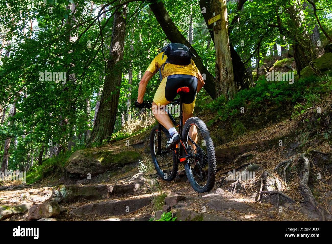 In mountain bike si sale lungo uno stretto sentiero Foto Stock