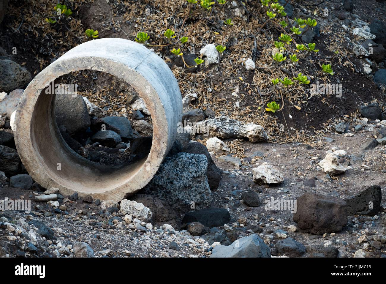 Un primo piano di una sezione di tubo di drenaggio, Kaena Point, Hawaii Foto Stock