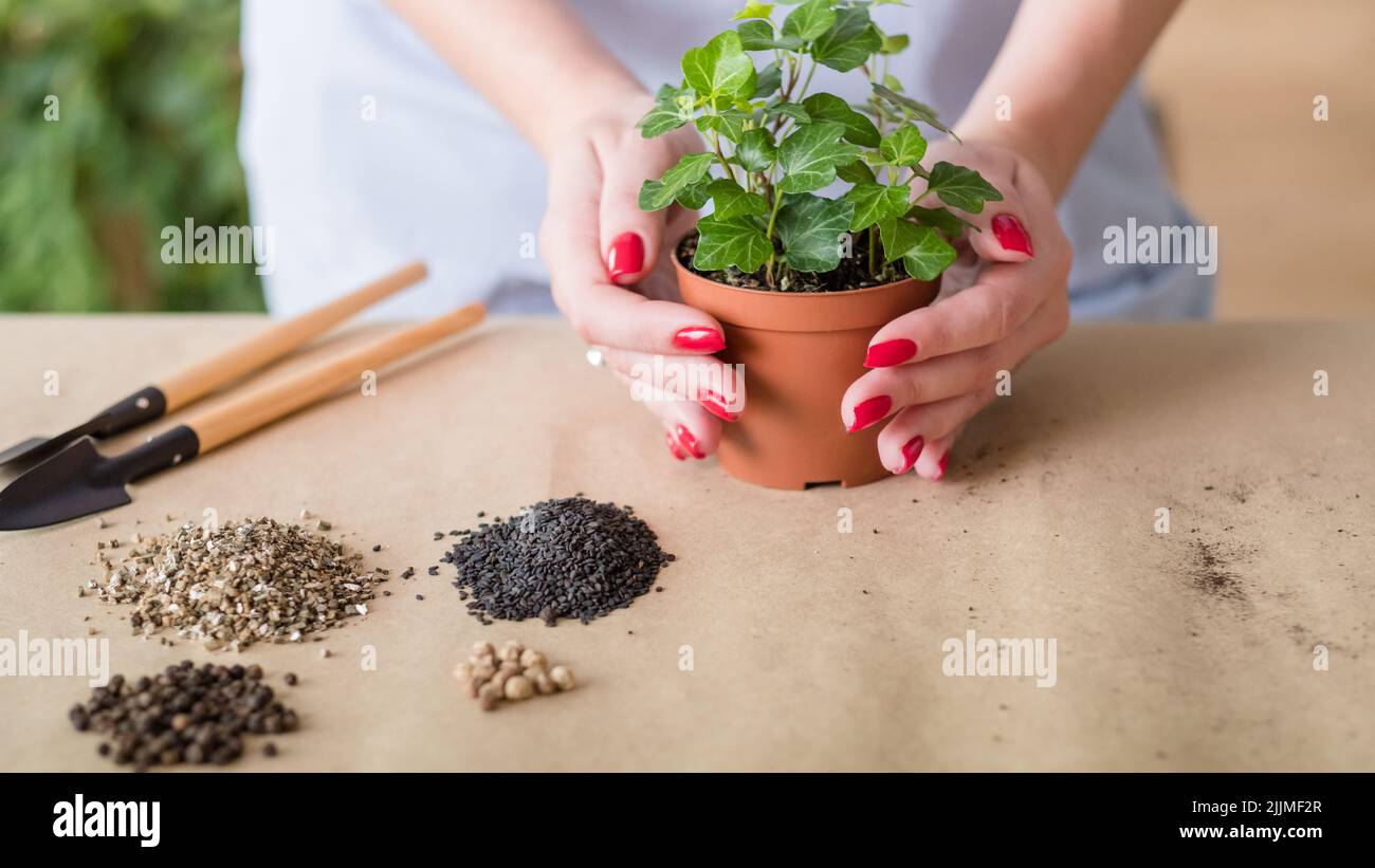 Attrezzo da interno immagini e fotografie stock ad alta risoluzione - Alamy