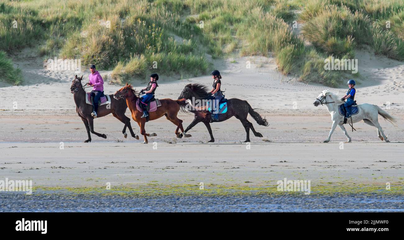 A cavallo di ragazzo seguito da tre ragazze a cavallo galoppo sulla spiaggia lungo la costa del Mare del Nord in estate Foto Stock
