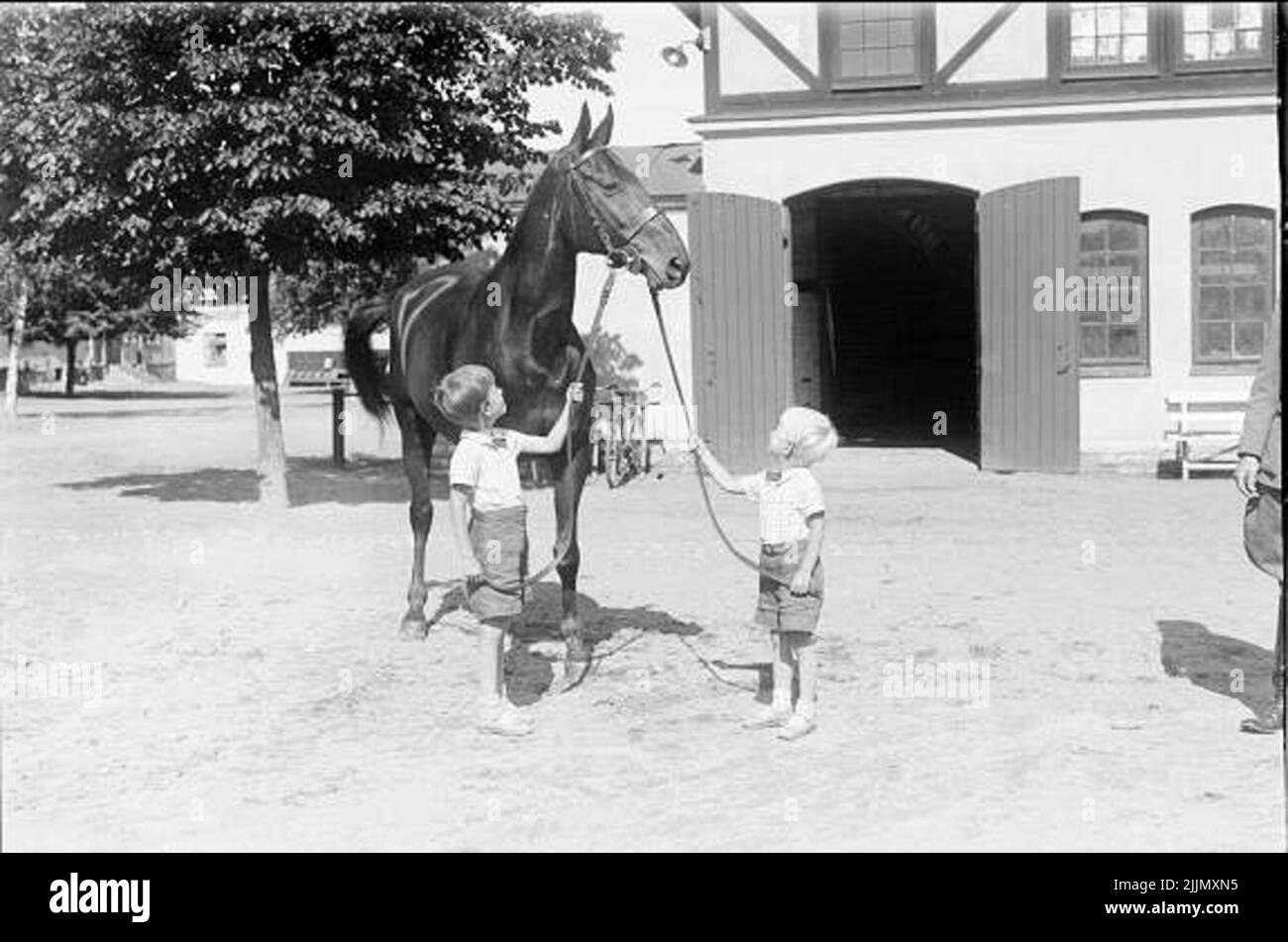 Löjtn. I due ragazzi di Harald Strömfelt con uno dei cavalli da competizione che hanno partecipato all'Olympiade di Berlino nel 1936. Mackintosh * 1917-1936 ha partecipato al concorso sul campo. Corso 1918-1937 ha partecipato al salto dei prezzi. Foto Stock