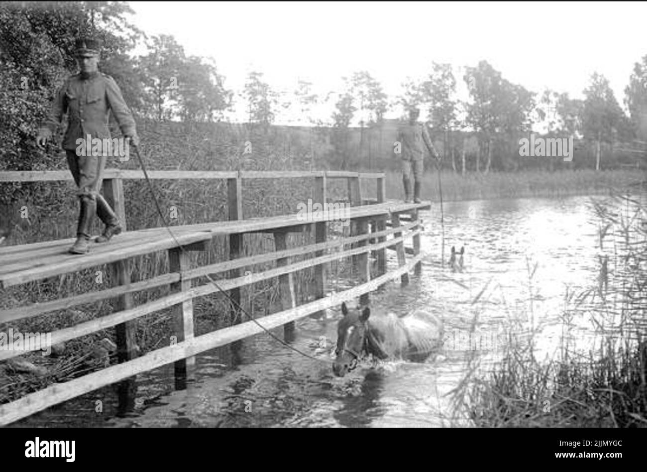 A piedi cavalli dal 2.Skvadron al ponte sul lago Sjötorp. Foto Stock