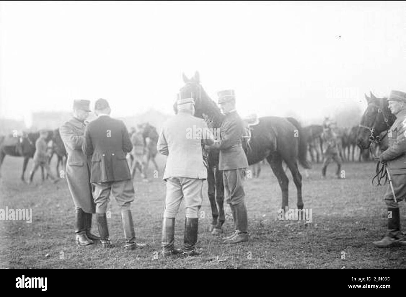 Il generale distribuisce i ramoscelli. Foto Stock