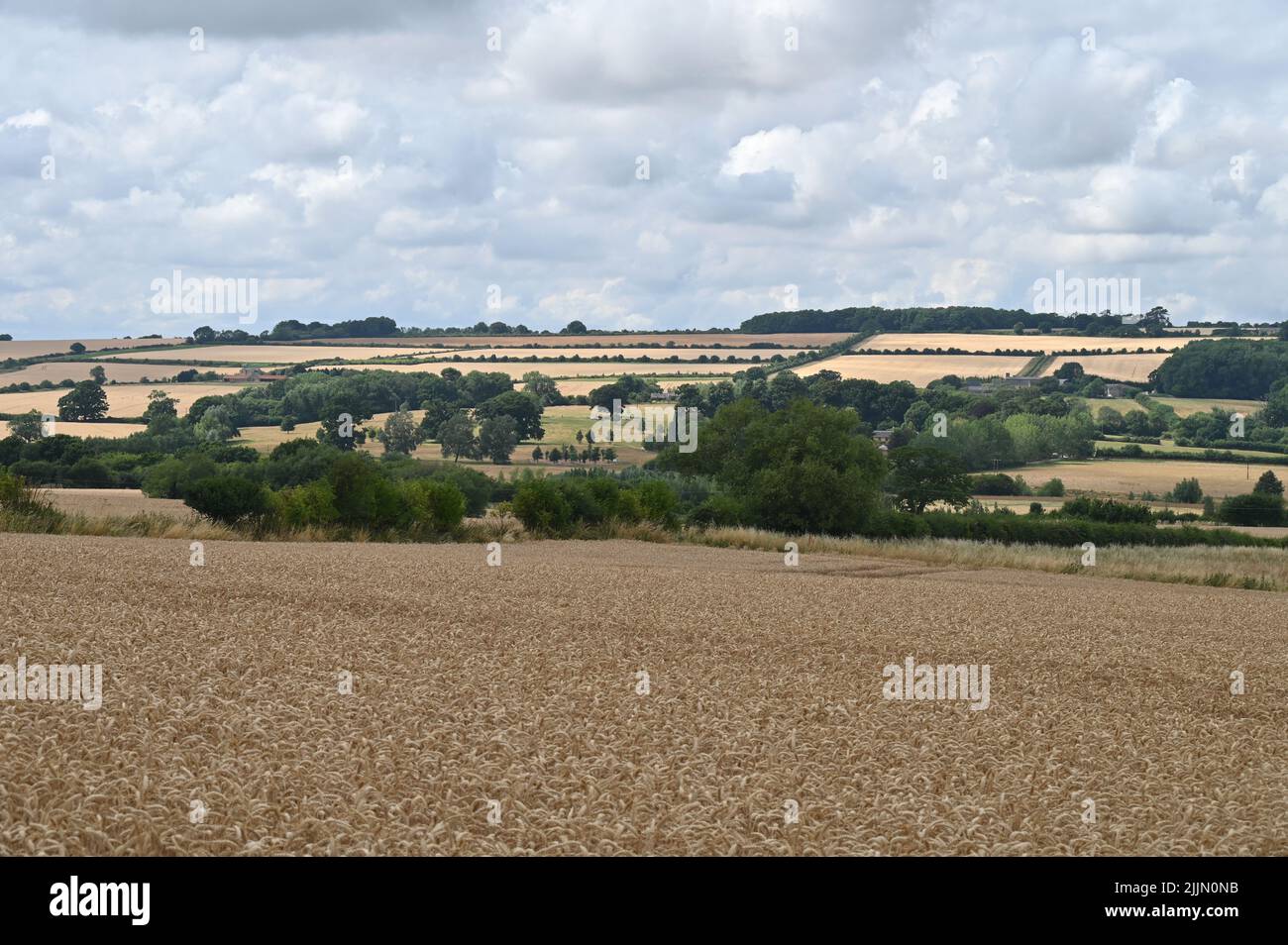 Campi vicino al villaggio di Oxfordshire di Ascott sotto Wychwood che mostrano quanto asciutto la campagna è e le siepi tra ogni campo che mostrano il resul Foto Stock