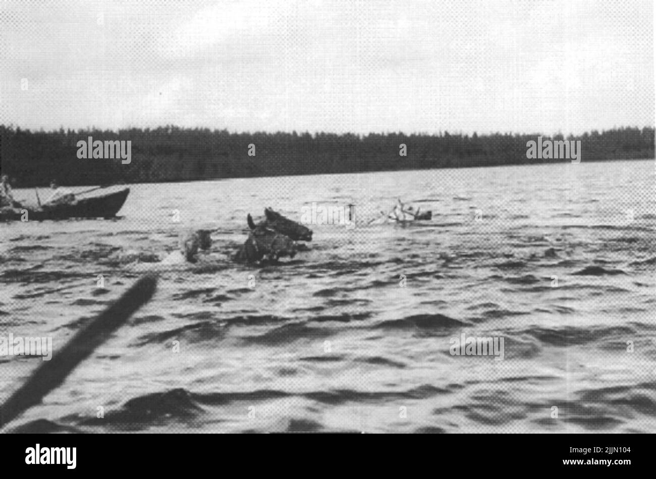 K3. Nuoto a cavallo - probabilmente nel lago Stråken a Margretholm. Foto Stock
