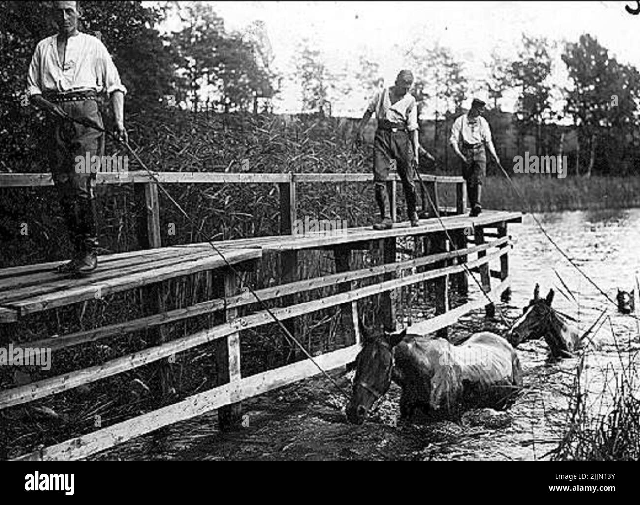 Camminando 2 cavalli di Squadron al lago Sjötorp. Foto Stock