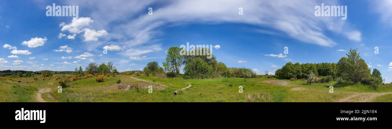 Una vista panoramica di un sentiero in un verde campo aperto in una giornata di sole Foto Stock