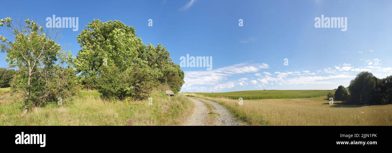Una vista panoramica di un sentiero in un verde campo aperto in una giornata di sole Foto Stock