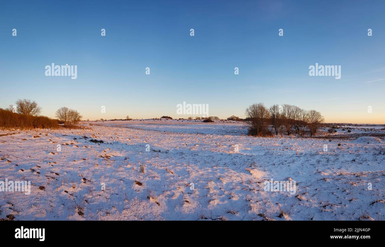 Una vista panoramica di alberi senza frondoli in un campo coperto di neve sotto un cielo blu nuvoloso al tramonto Foto Stock