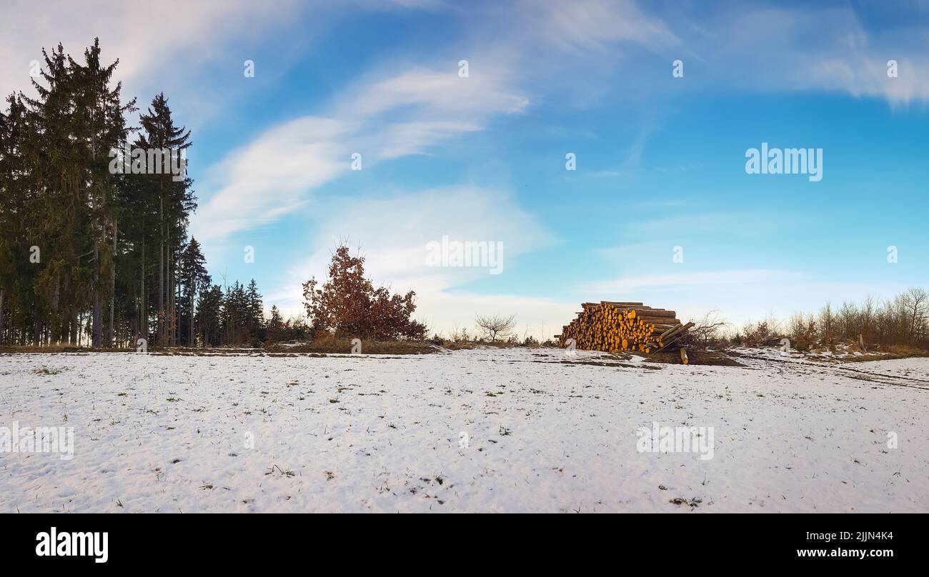 Una vista panoramica di alberi senza frondoli in un campo coperto di neve sotto un cielo blu nuvoloso al tramonto Foto Stock