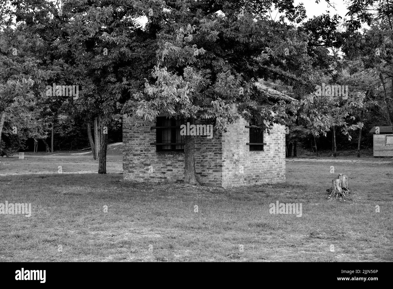 Una scala di grigi di una casa in pietra vicino agli alberi sul prato Foto Stock