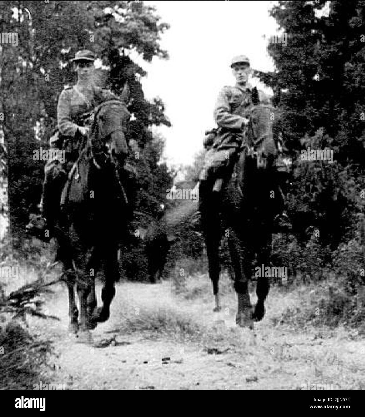 Sulla strada per il supporto di irrigazione Foto Stock