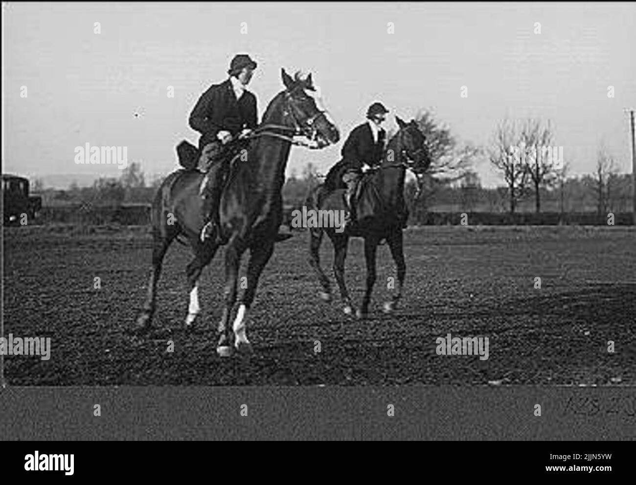 Giro di caccia Foto Stock