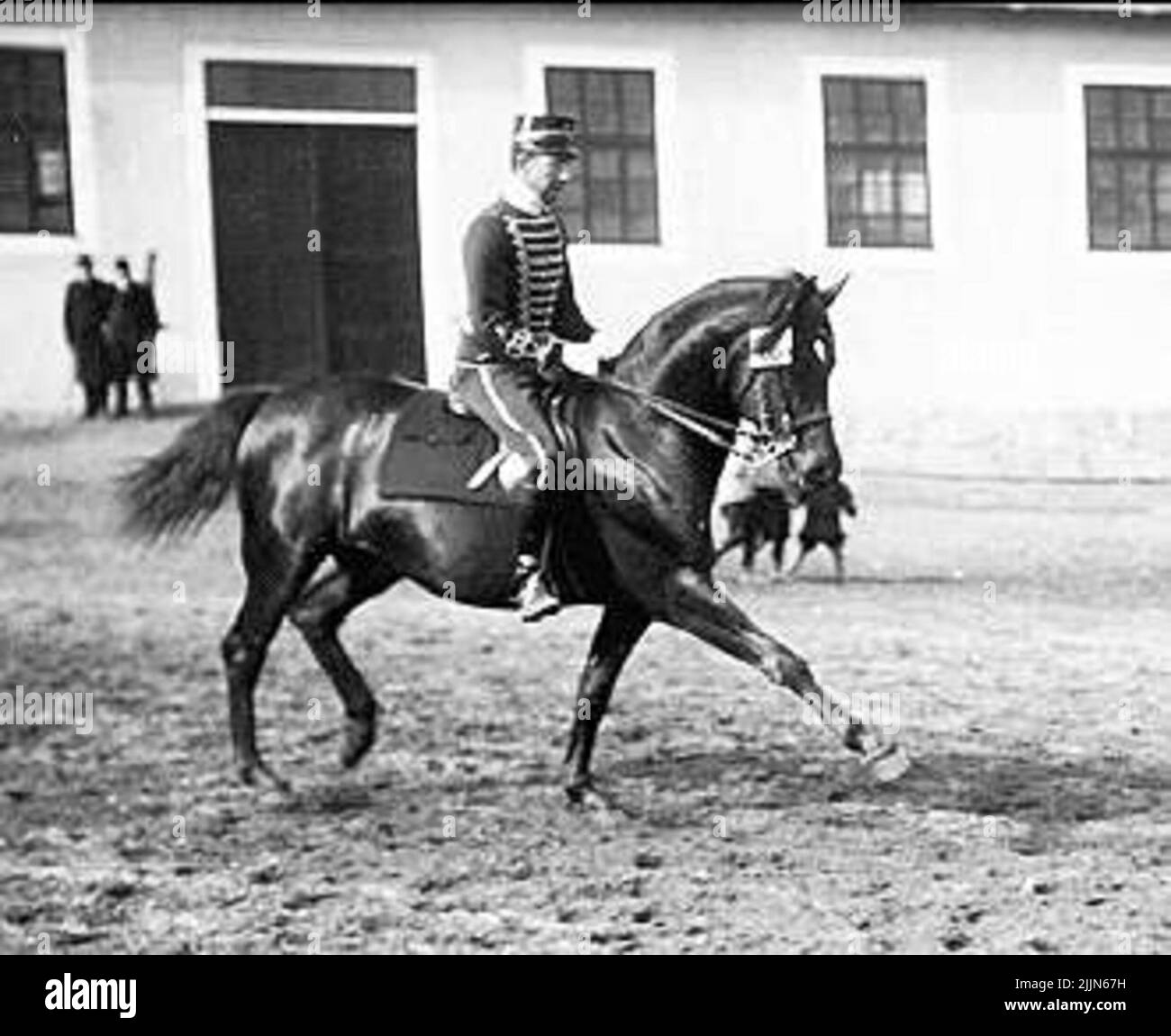 Spettacolo di dressage sulle scuderie. Foto Stock