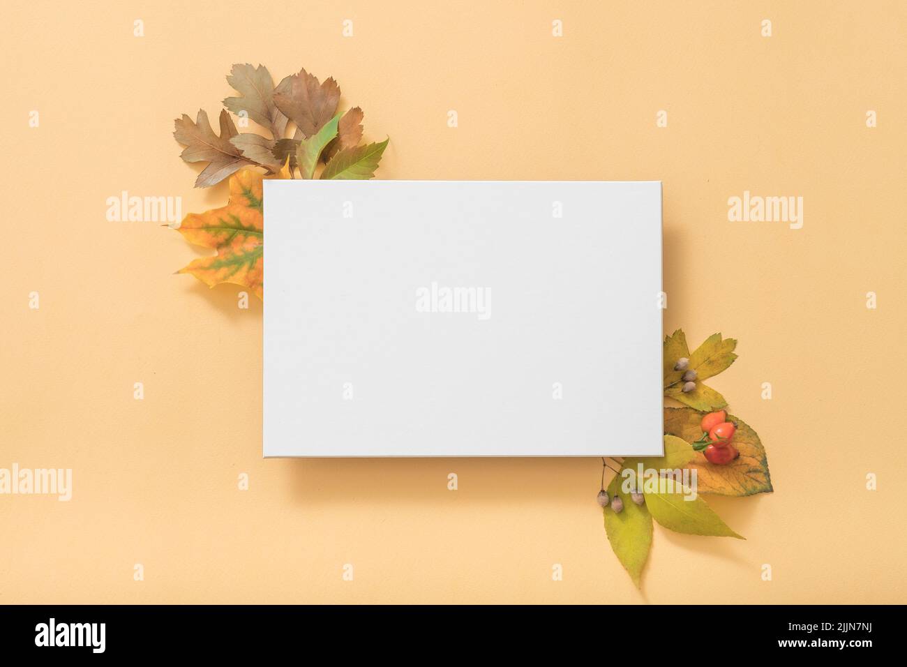 biglietto d'auguri mockup anniversario autunno sfondo Foto Stock