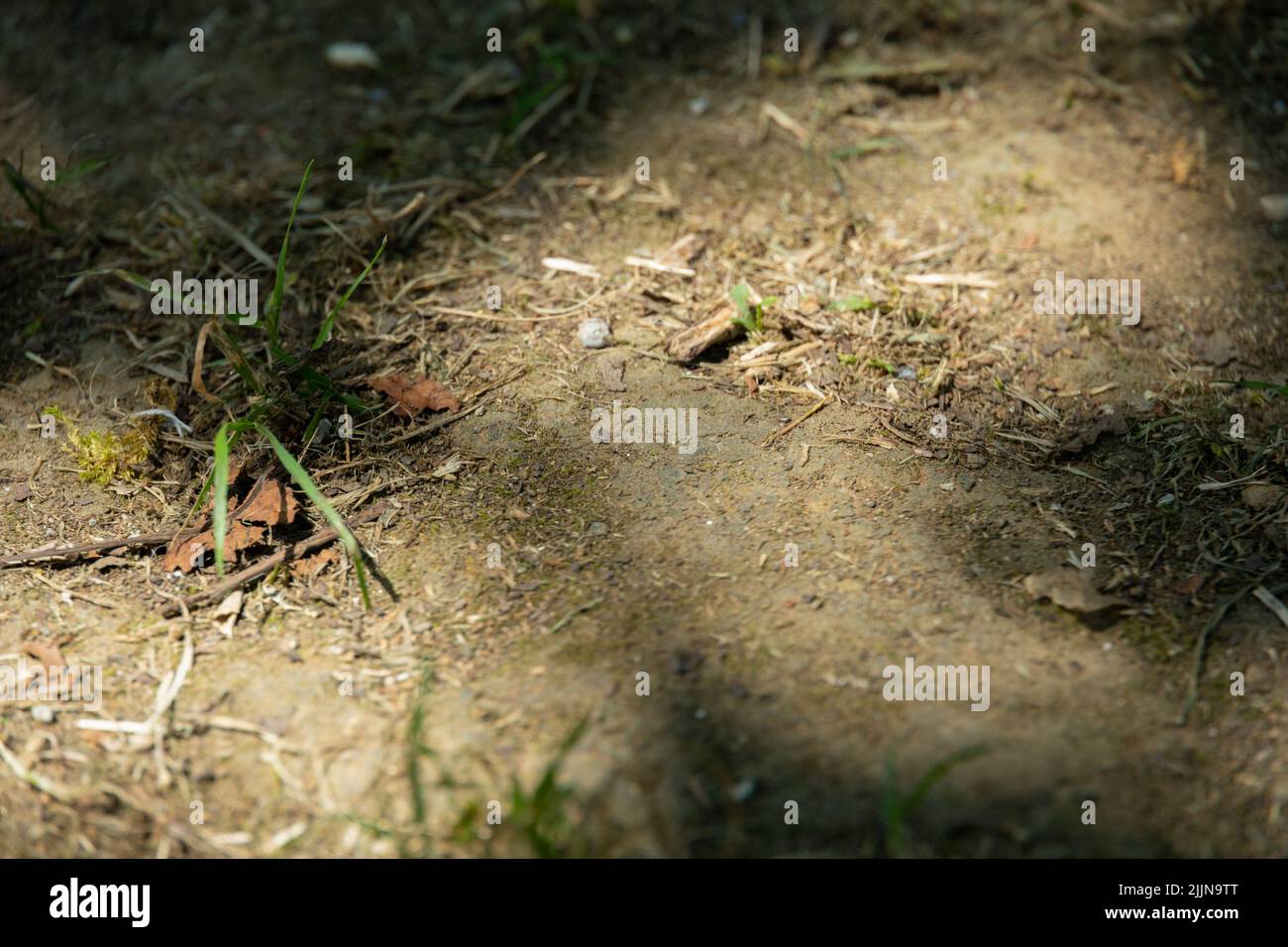 angolo e sfondo scuro di un fienile e scuro come sfondo di qualcosa di spaventoso o abbandonato Foto Stock