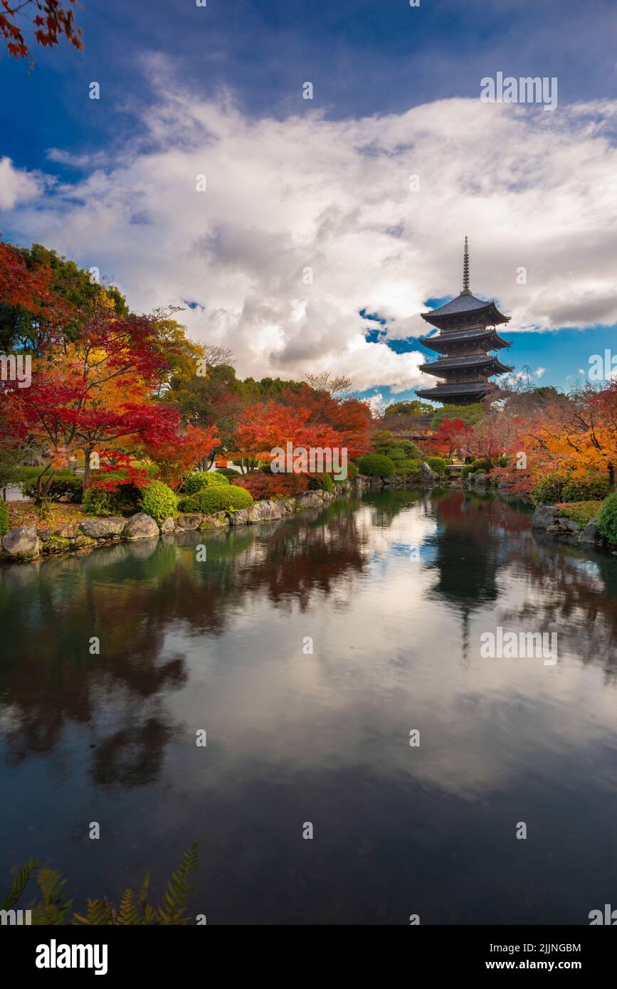 Kyoto, Giappone alla storica Pagoda Toji nella stagione autunnale. Foto Stock