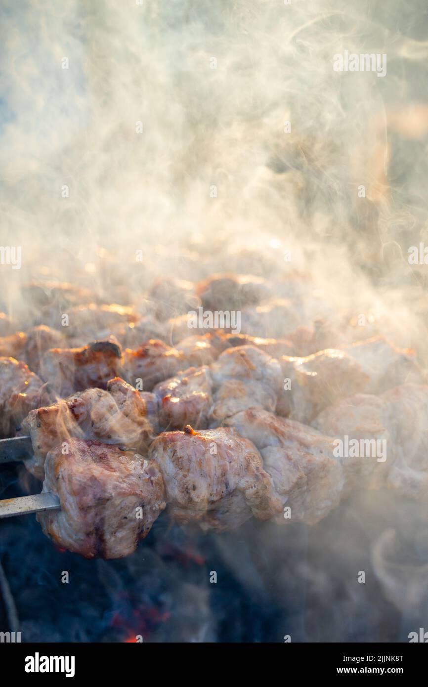 Primo piano di grigliare gustosi piatti al barbecue. Processo di cottura dello shashlik yummy in natura. Cibo delizioso su spiedino di metallo nel barbecue. Tempo di picnic Foto Stock