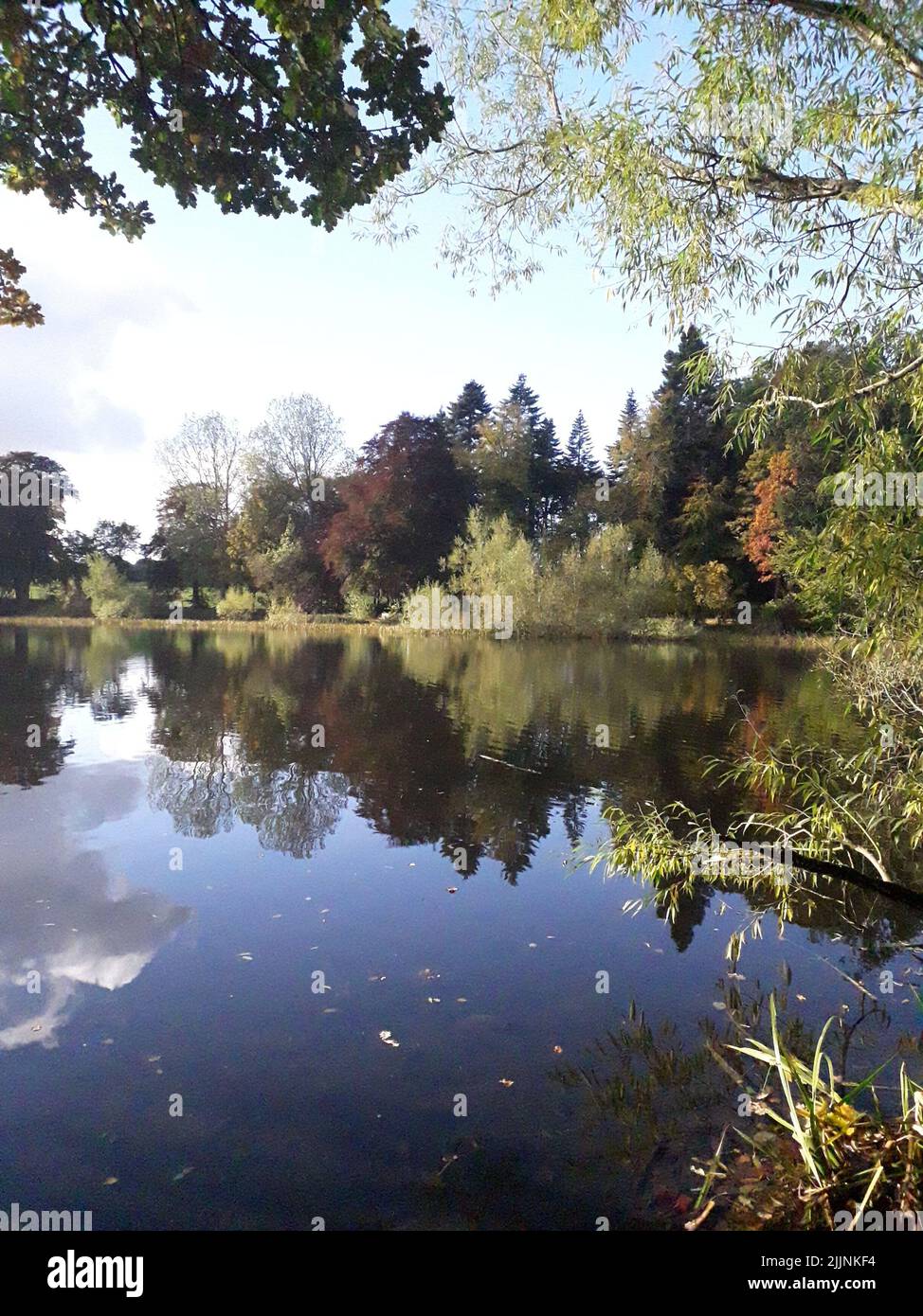 Uno scatto verticale dei riflessi degli alberi nel lago di Macduff Foto Stock