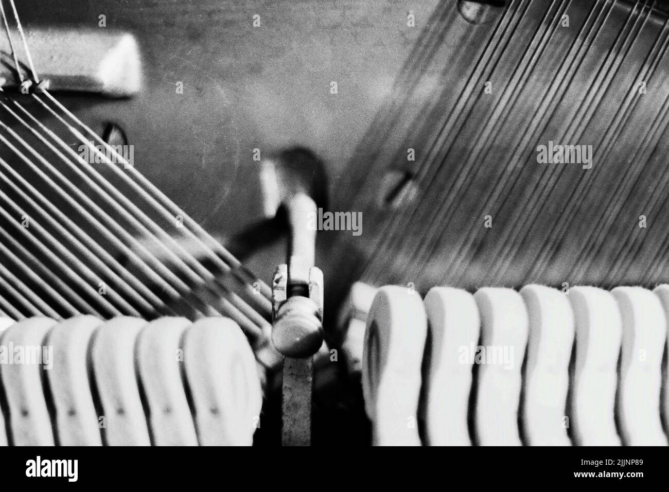 Interno di pianoforte con corde, martello, vite di fermo Foto Stock