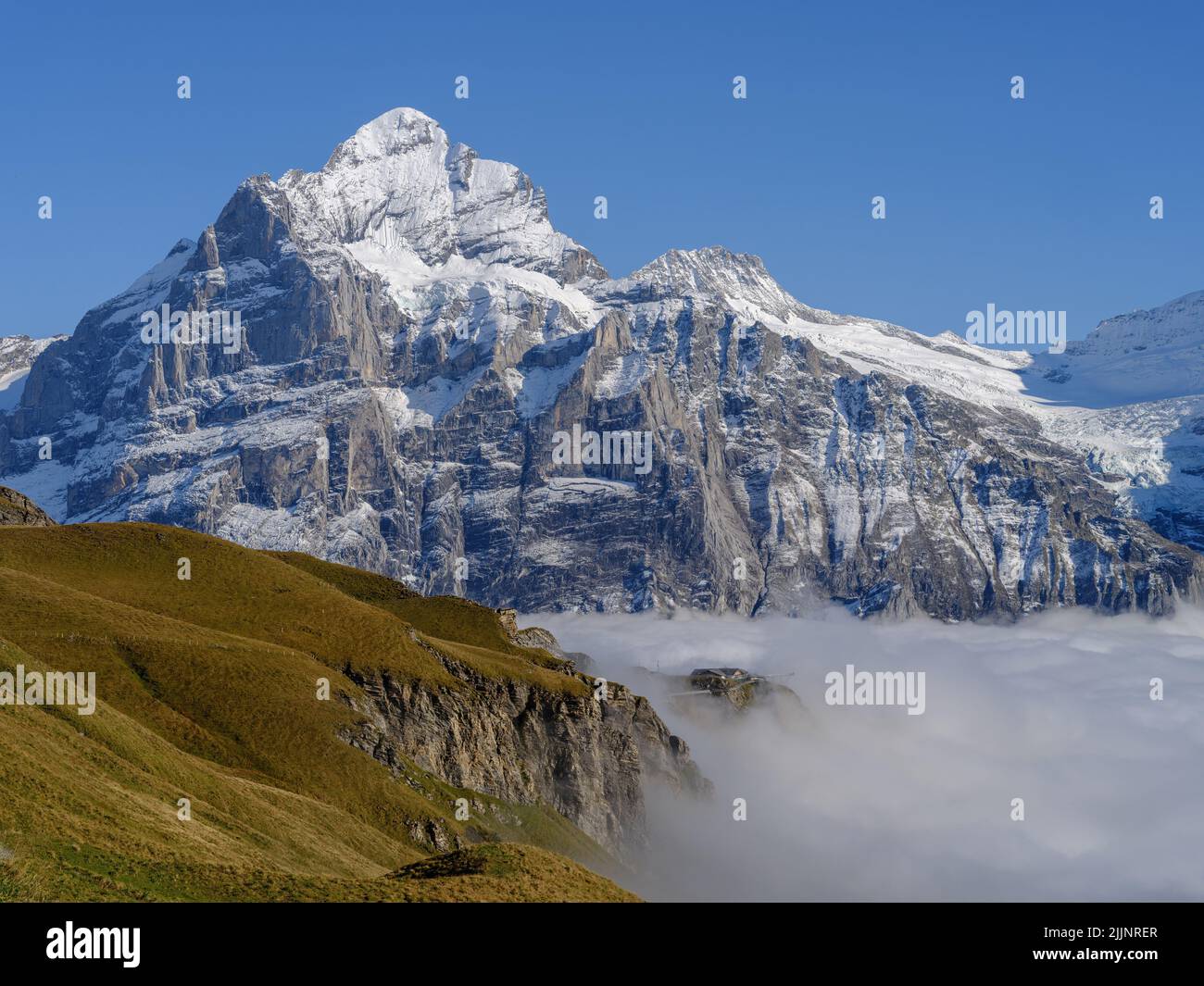 Splendida posizione pittoresca, primo nome stazione di montagna con Cliff Walk e Schreckhorn picco in background, Grindelwald, Oberland bernese, SVIZZ Foto Stock