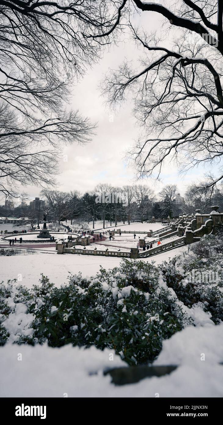 Un colpo verticale di persone che camminano nel parco in una fredda giornata di neve Foto Stock