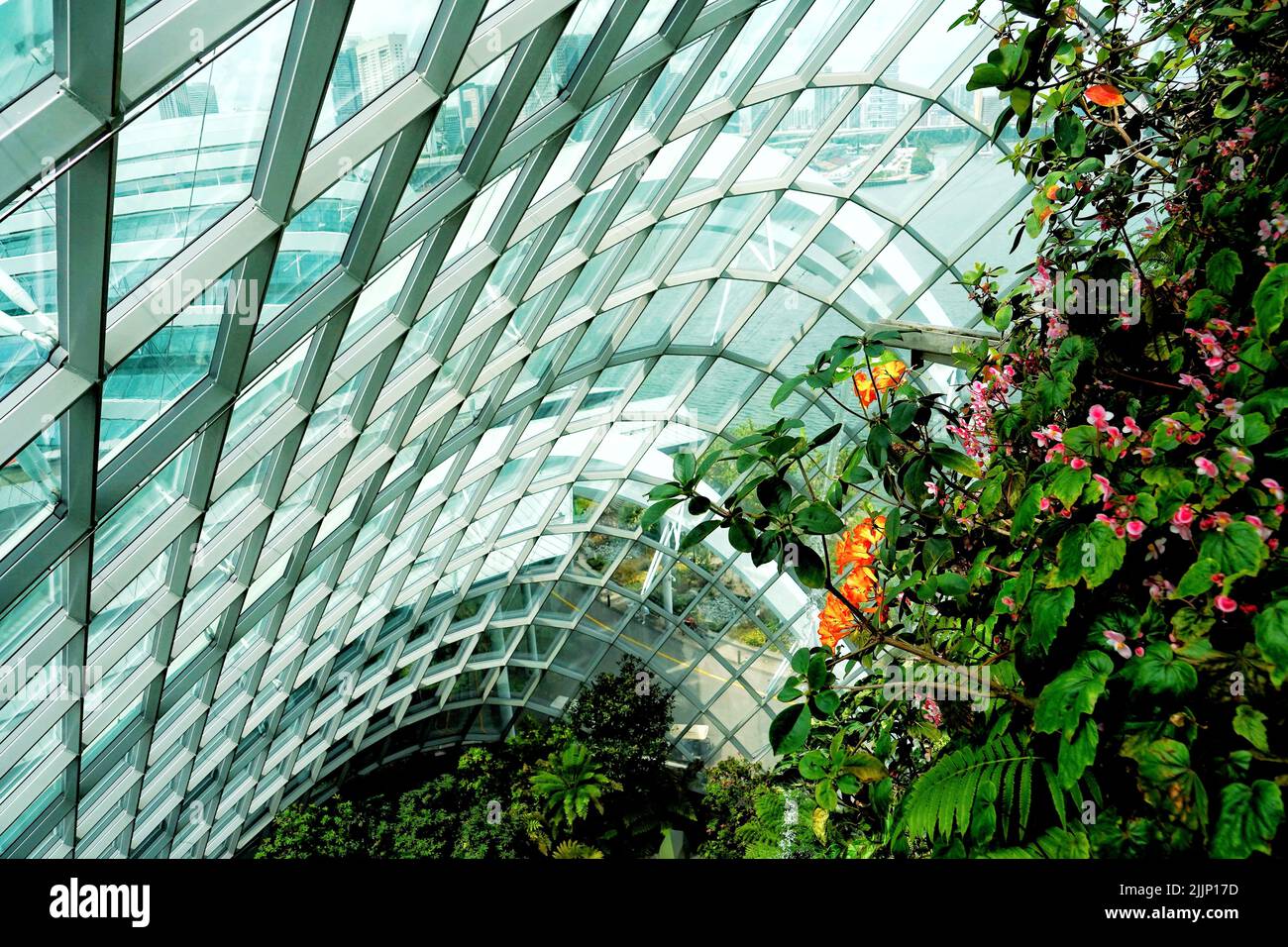 Un angolo basso del soffitto della foresta nuvolosa di Binhai Bay a Singapore con il verde sotto Foto Stock