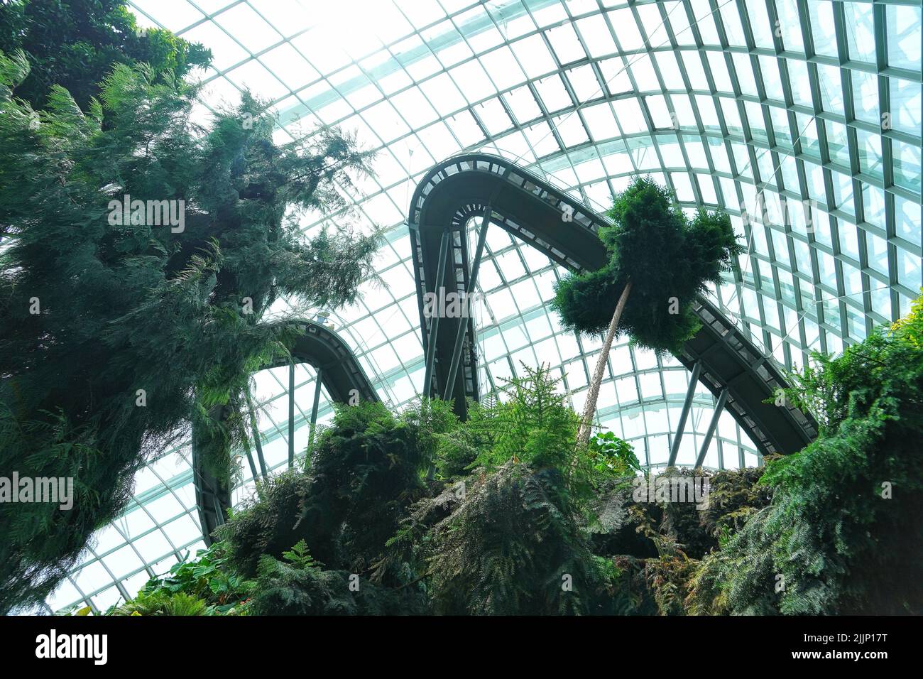 Un angolo basso della bella e lussureggiante botanica nella foresta nuvolosa di Binhai Bay a Singapore Foto Stock