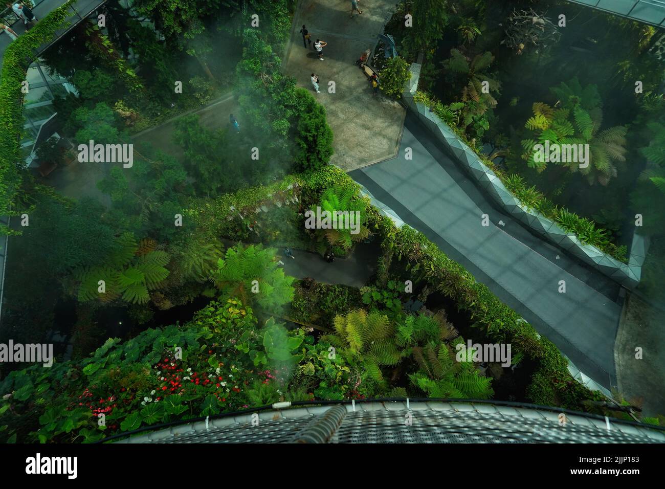 Un'immagine ad alto angolo dell'interno della foresta nuvolosa di Binhai Bay a Singapore con verde tutto intorno Foto Stock