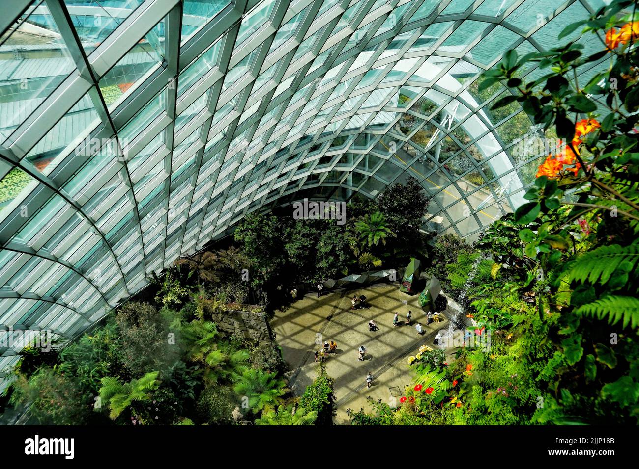 Un'immagine ad alto angolo della botanica all'interno della foresta nuvolosa di Binhai Bay a Singapore sotto un soffitto di vetro Foto Stock