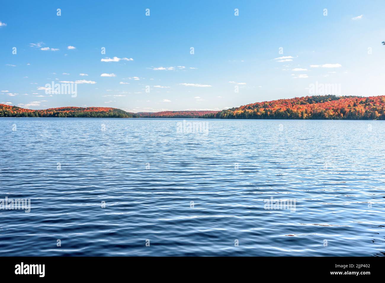 Bellissimo lago circondato da colline boscose al picco del fogliame autunno in una chiara mattinata d'autunno. Scena tranquilla. Foto Stock