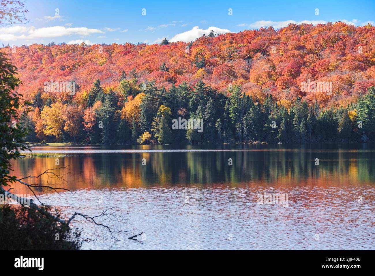 La foresta di Desense al picco del fogliame autunnale si riflette nelle acque calme di un lago in una giornata di sole Foto Stock