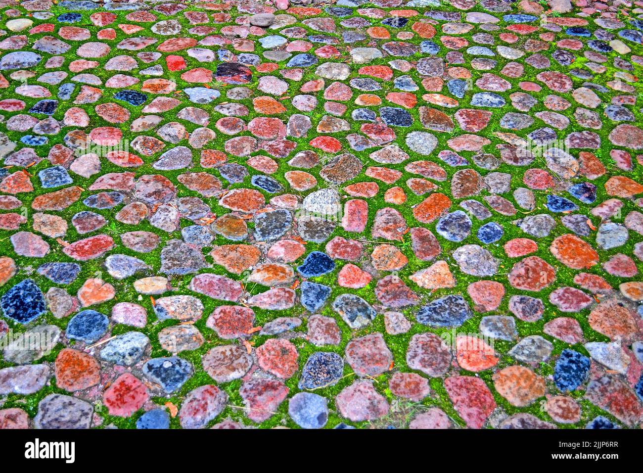 astratto pietra minerale mista superficie closeup con erba verde, diversità ambientale Foto Stock