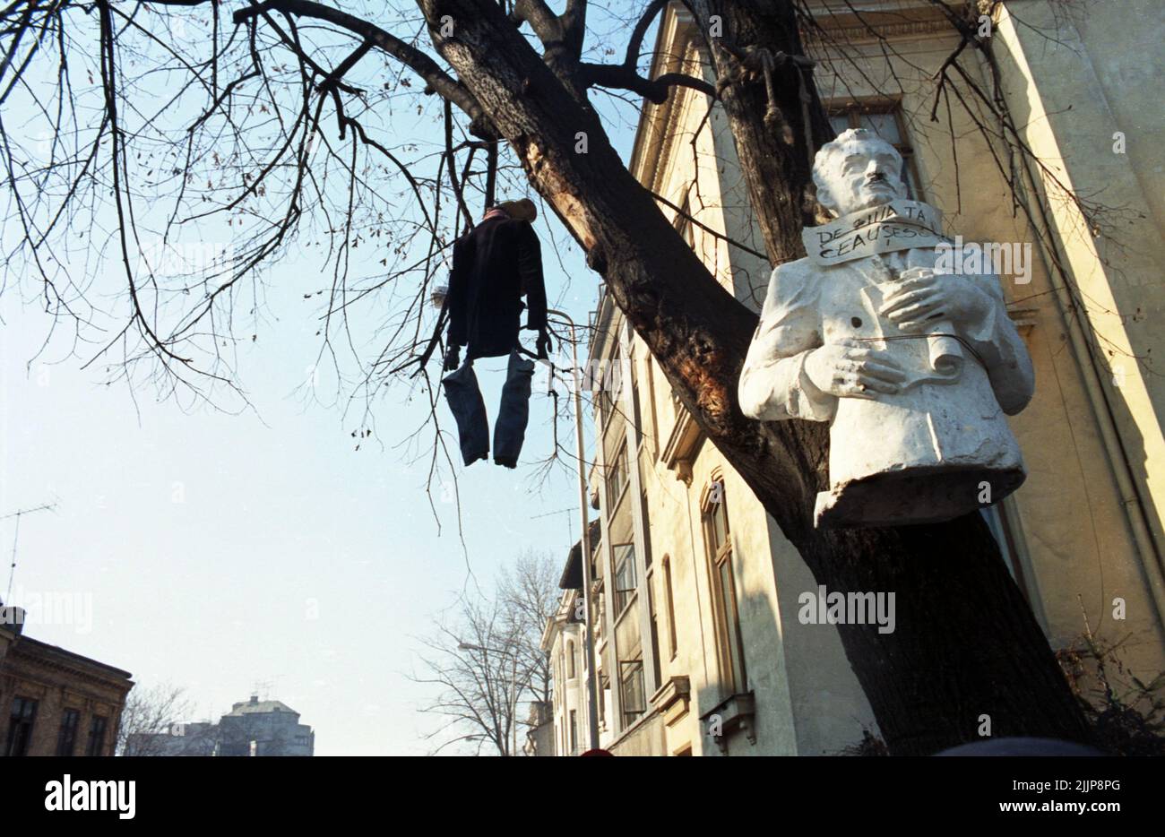 Bucarest, Romania, gennaio 1990. Poche settimane dopo la rivoluzione anti-comunista, un busto dell'ex dittatore comunista Nicolae Ceausescu è appeso su un albero, con il messaggio "il tuo compleanno, Ceausescu" (che doveva essere il 23rd gennaio). Foto Stock