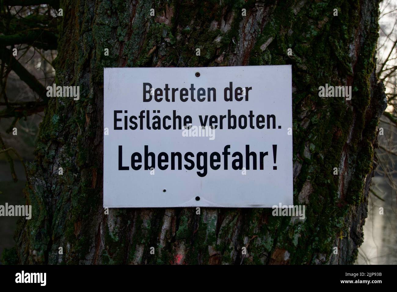 Un cartello inchiodato su un albero con l'iscrizione tedesca che entra nella superficie ghiacciata proibì il pericolo per la vita Foto Stock