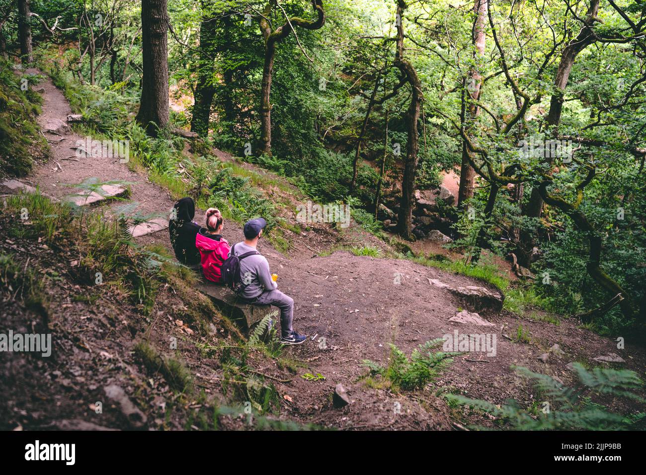 Persone che siedono sulla panchina a Padley Gorge, foresta nel Peak District National Park, Inghilterra, Regno Unito Foto Stock