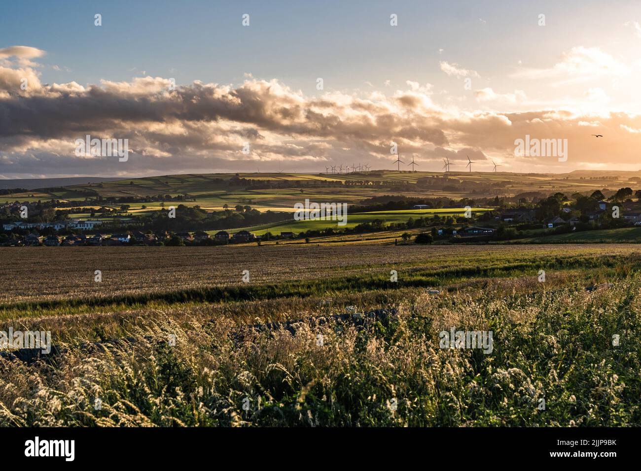 Golden Hour al Penistone Village, campi, agricoltura, Inghilterra, Regno Unito Foto Stock