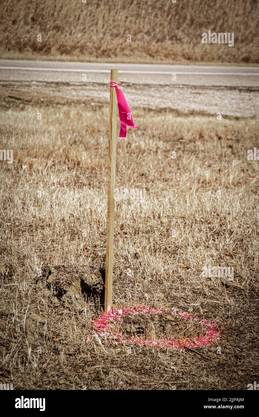 Pennarello in legno con nastro in plastica rosa e cerchio rosa verniciato a spruzzo sul terreno per gli operatori del settore Foto Stock
