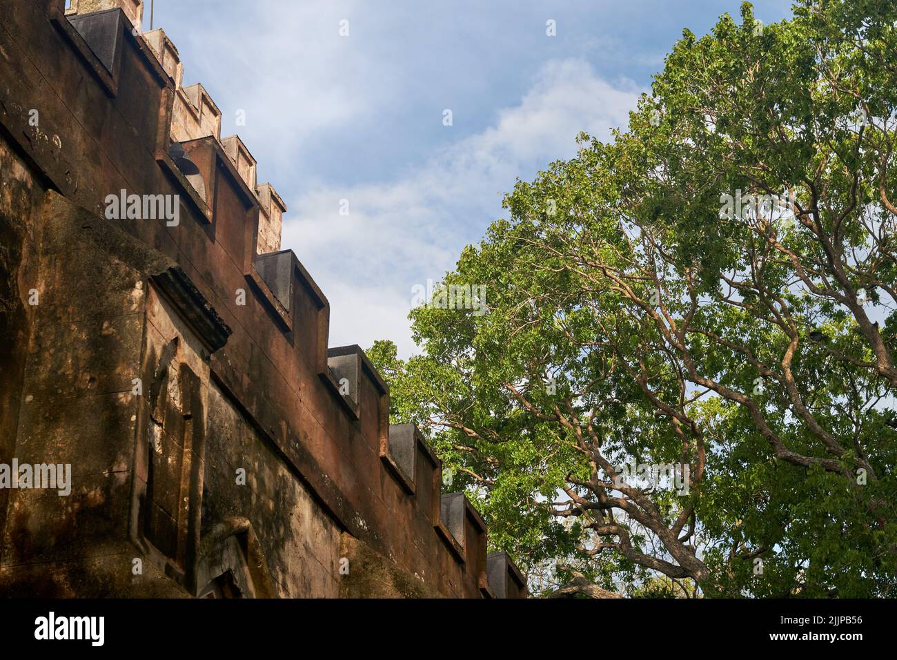 Un colpo di prospettiva di un edificio arrugginito accanto ad un albero. Foto Stock