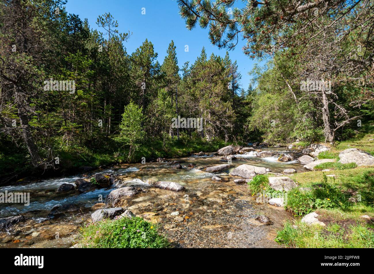 Un fiume roccioso e poco profondo che scorre attraverso la foresta Foto Stock