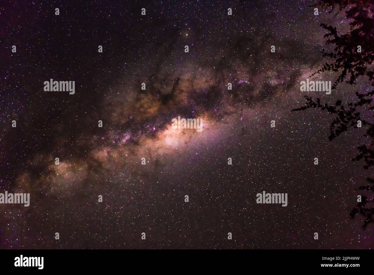 Milkyway sul Timbavati - Sudafrica Foto Stock