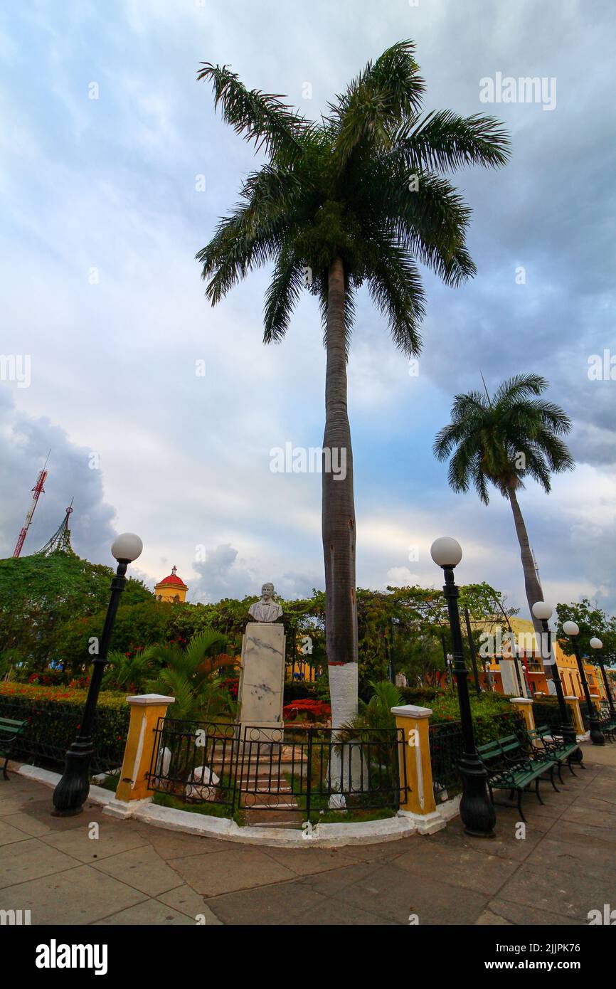 Una bella vista delle palme in una strada a Trinidad Foto Stock